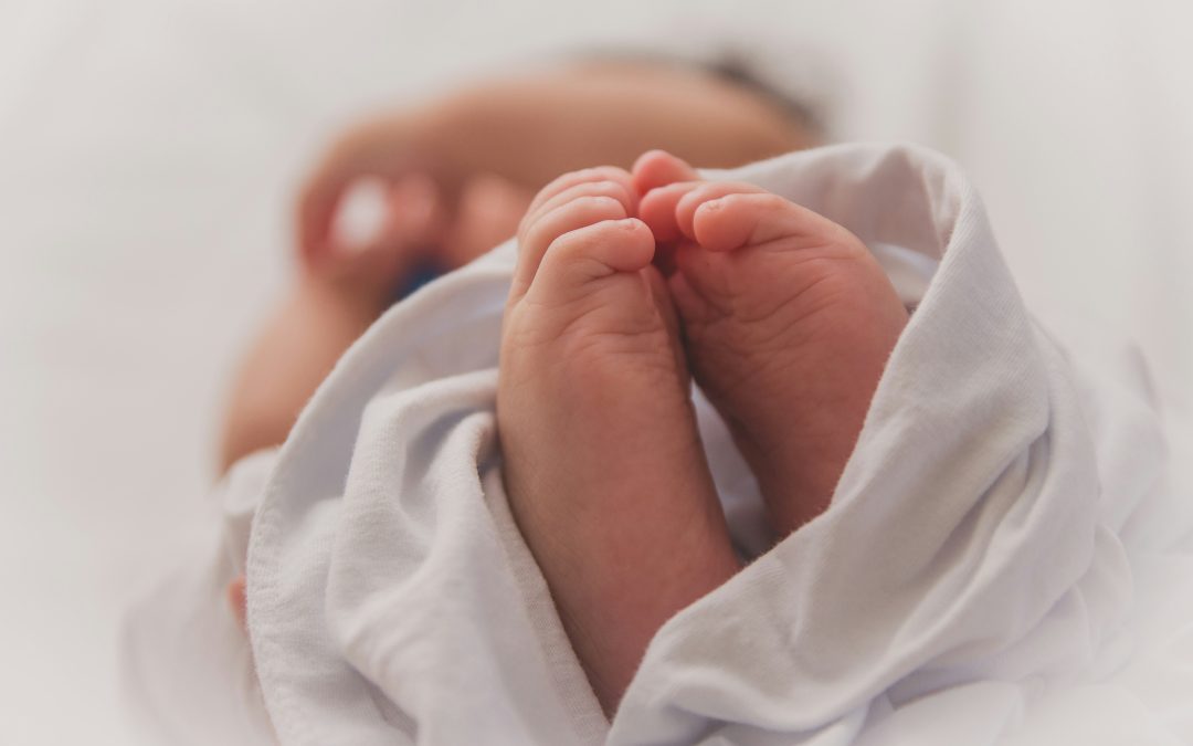 ✨ SD Birth Matters Relaunches with Powerful New Directory to Empower South Dakota Families