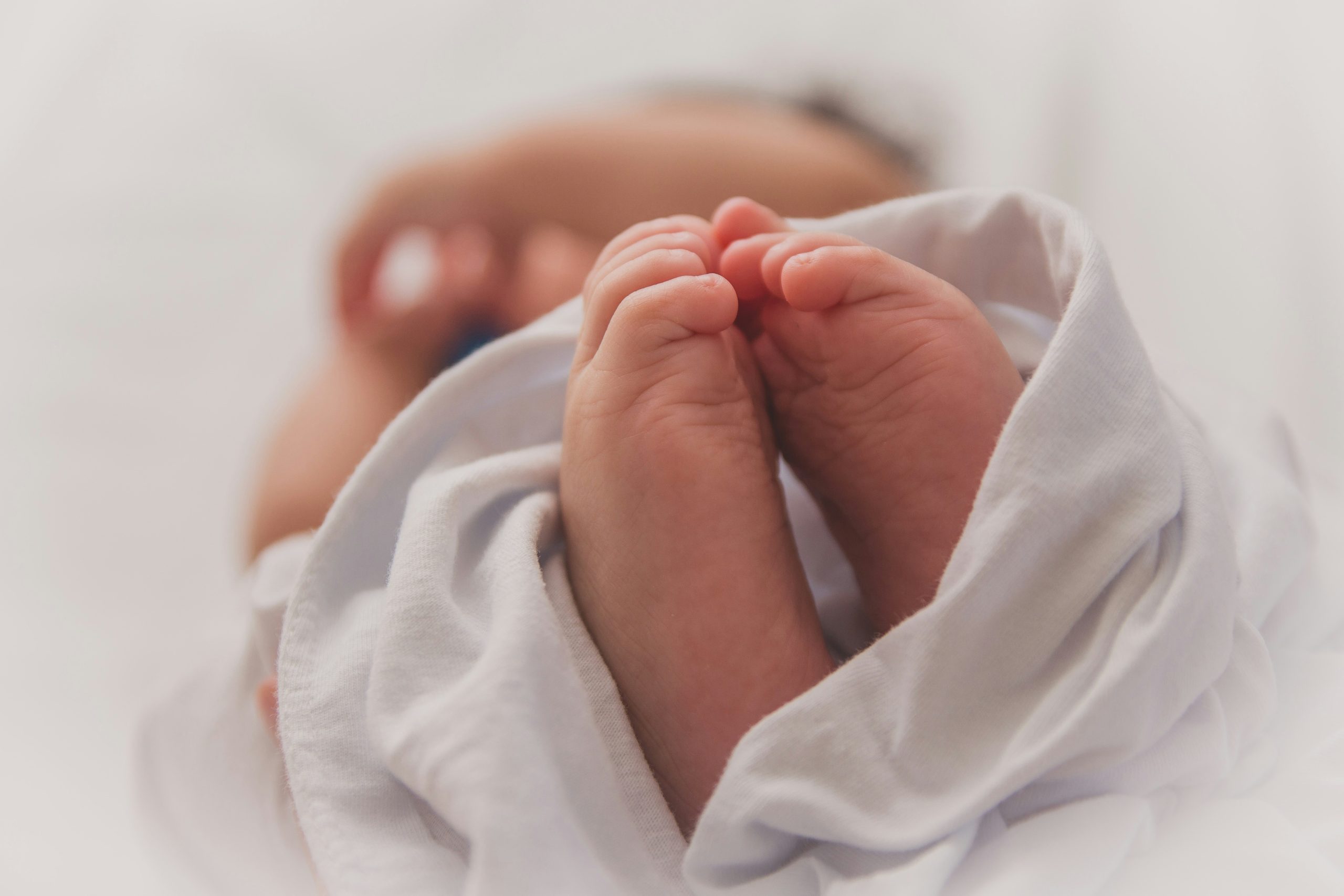 ✨ SD Birth Matters Relaunches with Powerful New Directory to Empower South Dakota Families